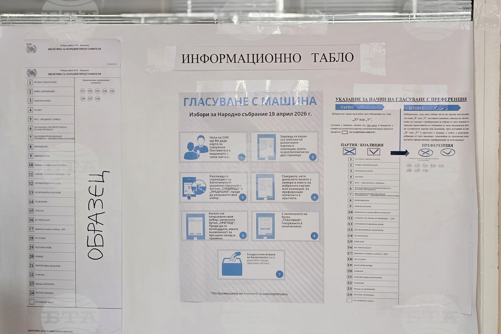 Видин - предсрочни парламентарни избори - изборен ден