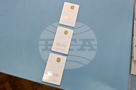 Габрово - предсрочни парламентарни избори - гласуване