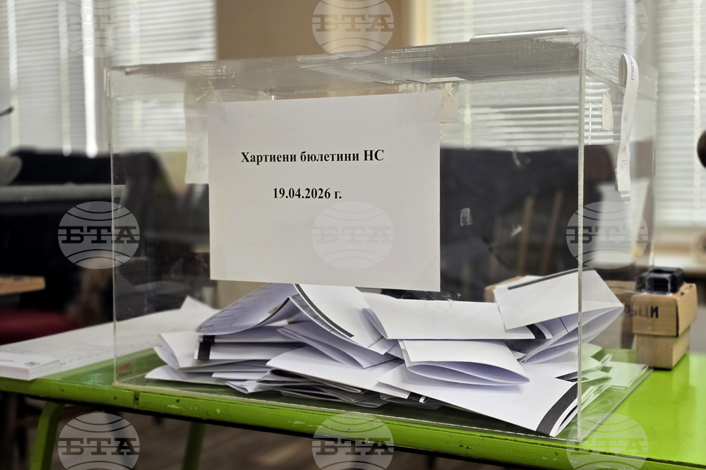 Видин - предсрочни парламентарни избори - изборен ден