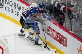 Kings Avalanche Hockey