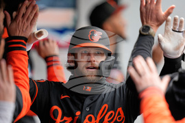 Orioles Guardians Baseball
