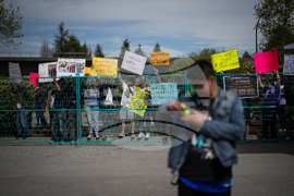 Canada Festival Attack