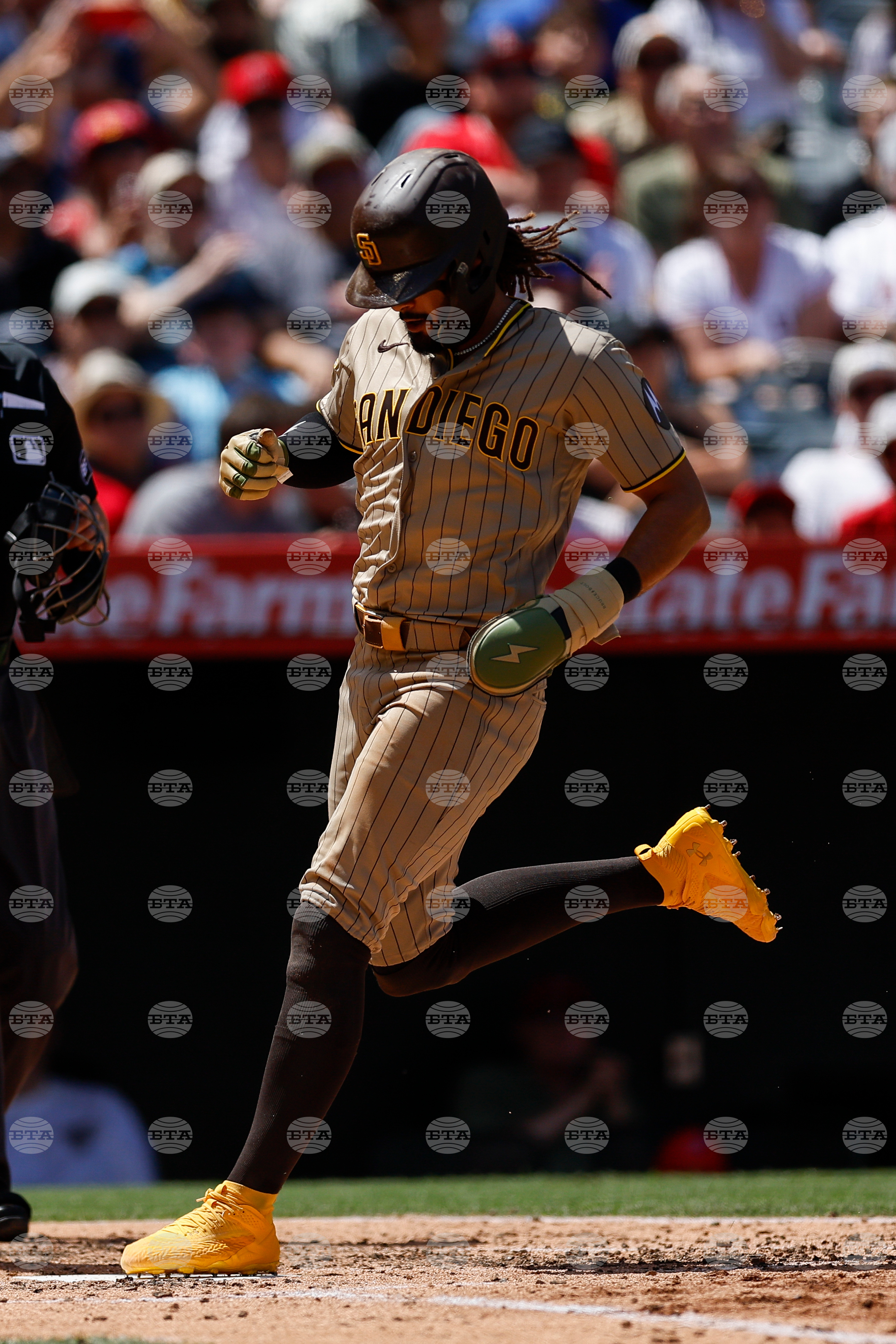 Padres Angels Baseball