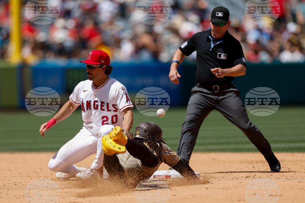 Padres Angels Baseball