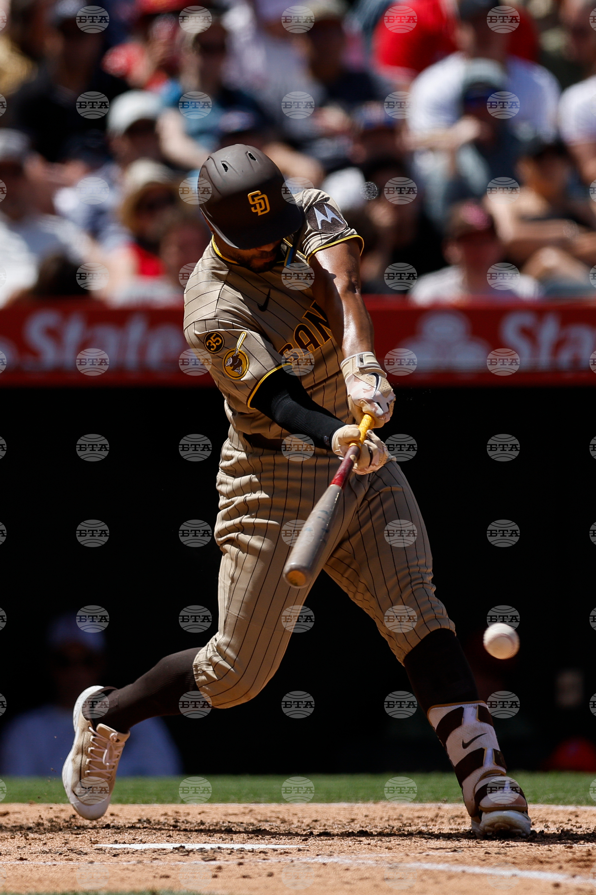 Padres Angels Baseball