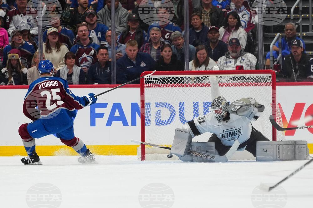 Kings Avalanche Hockey