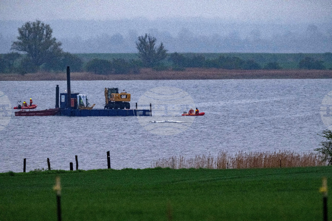Germany Stranded Whale
