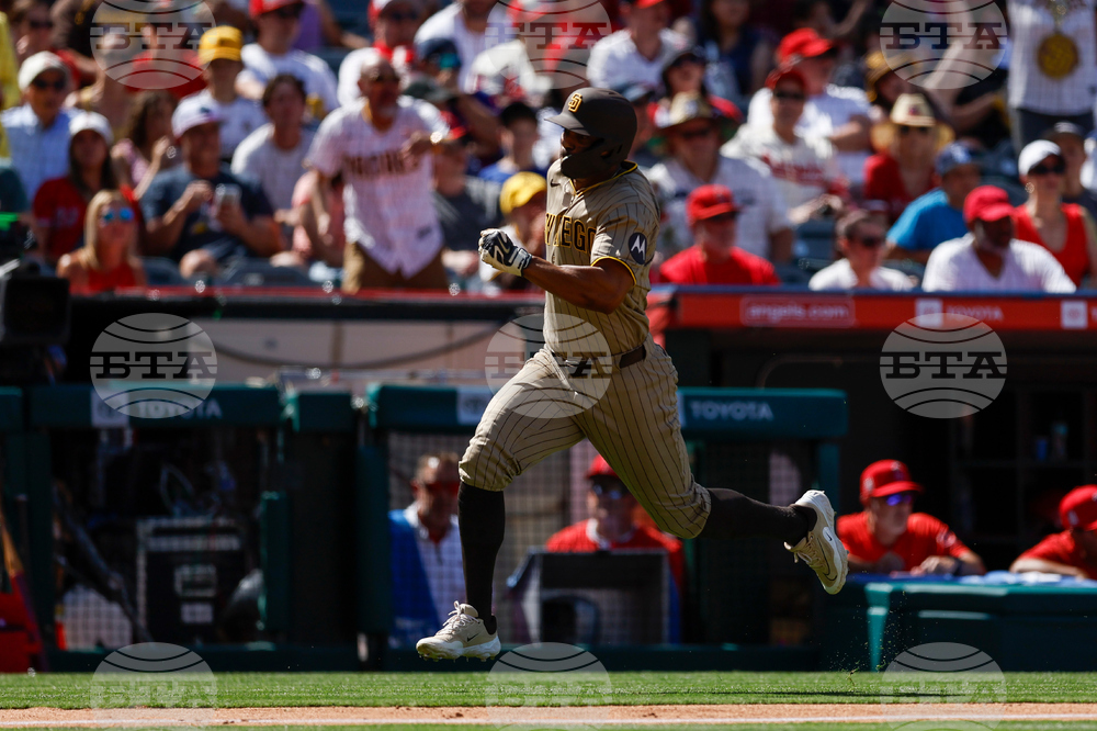 Padres Angels Baseball