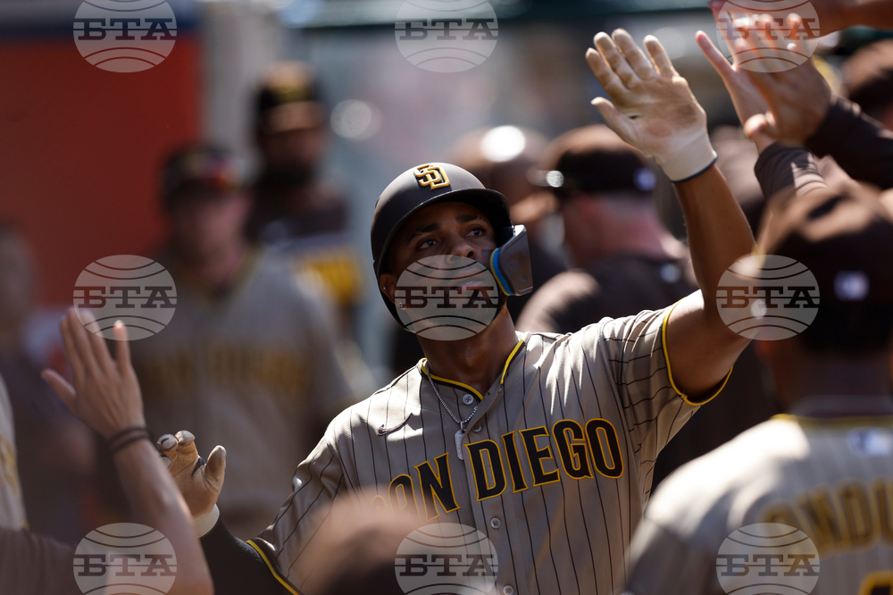 Padres Angels Baseball
