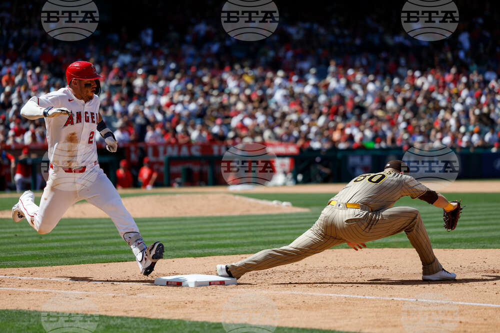 Padres Angels Baseball