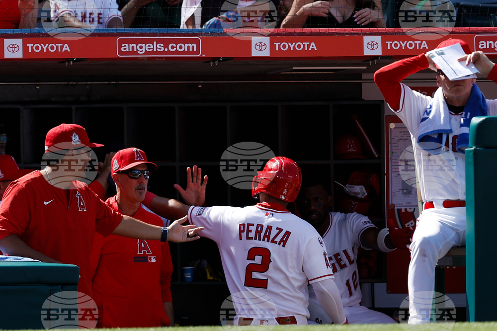 Padres Angels Baseball