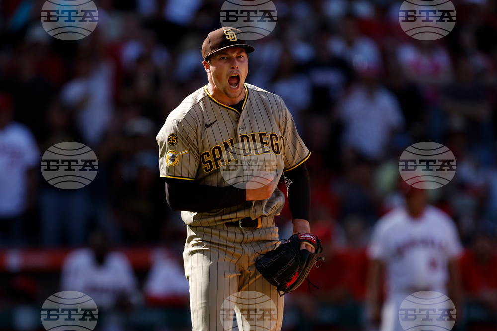 Padres Angels Baseball