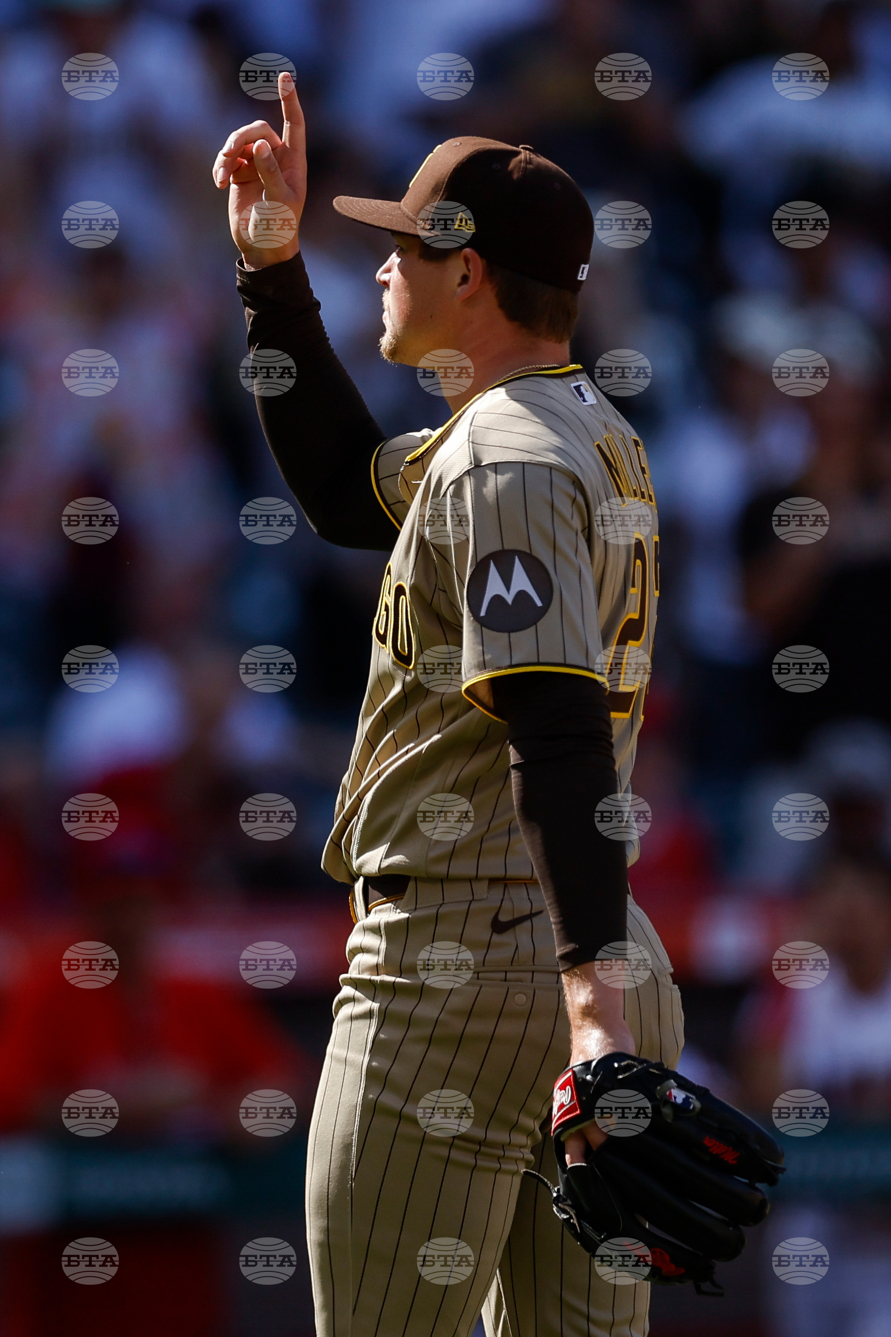 Padres Angels Baseball