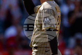 Padres Angels Baseball