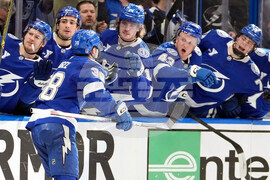 Canadiens Lightning Hockey