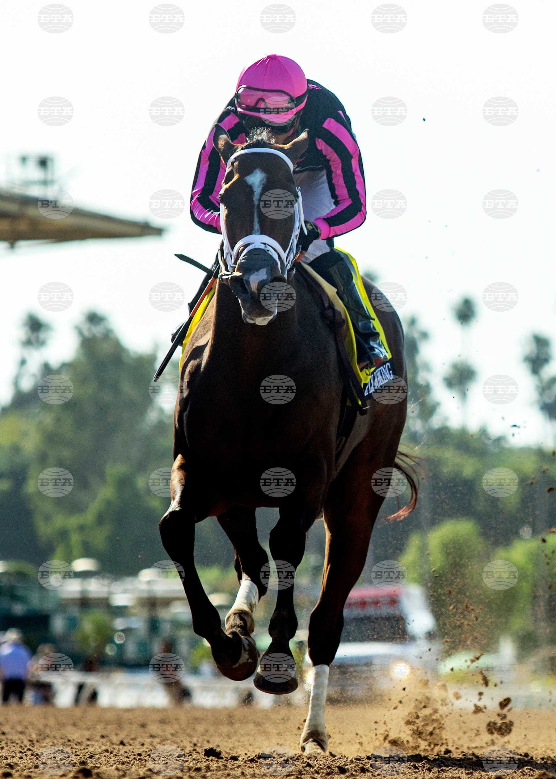Santa Anita Horse Racing