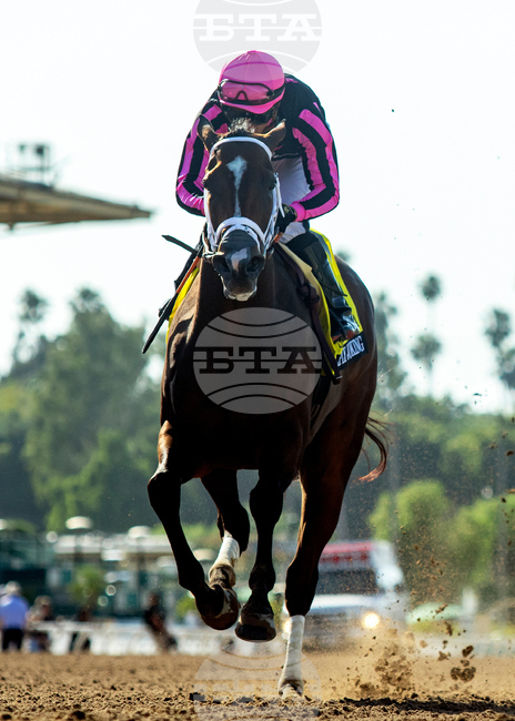 Santa Anita Horse Racing