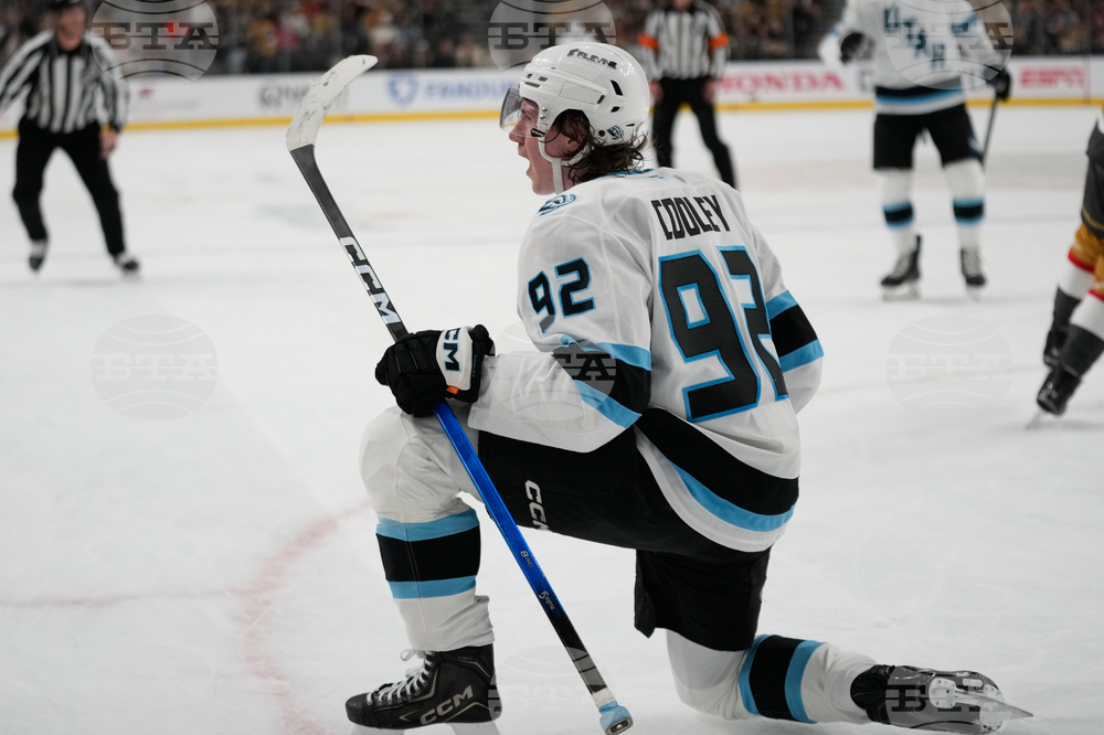 Mammoth Golden Knights Hockey