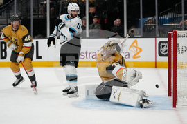 Mammoth Golden Knights Hockey