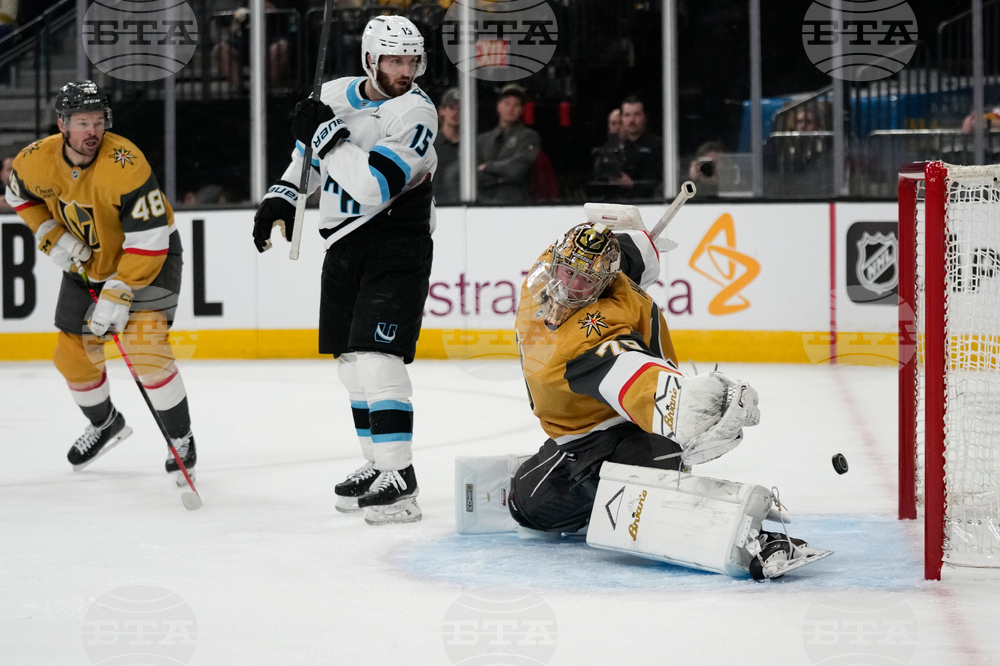 Mammoth Golden Knights Hockey