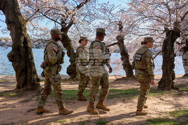 Trump DC National Guard