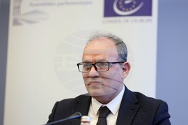 Международни наблюдатели - парламентарни избори - пресконференция