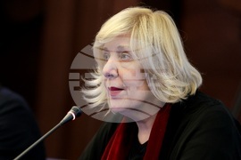 Международни наблюдатели - парламентарни избори - пресконференция