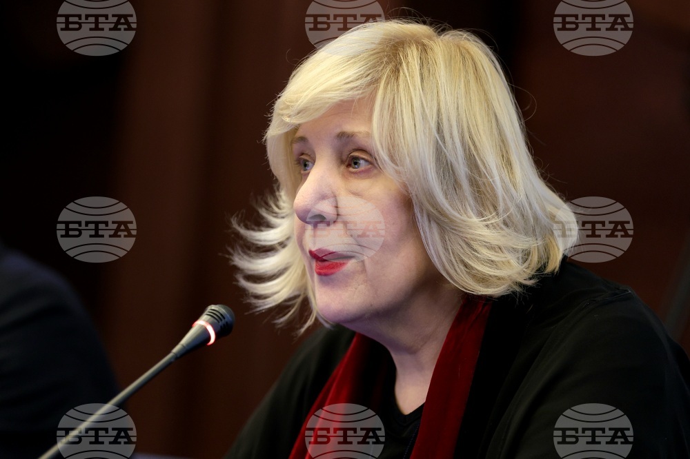 Международни наблюдатели - парламентарни избори - пресконференция