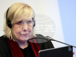 Международни наблюдатели - парламентарни избори - пресконференция