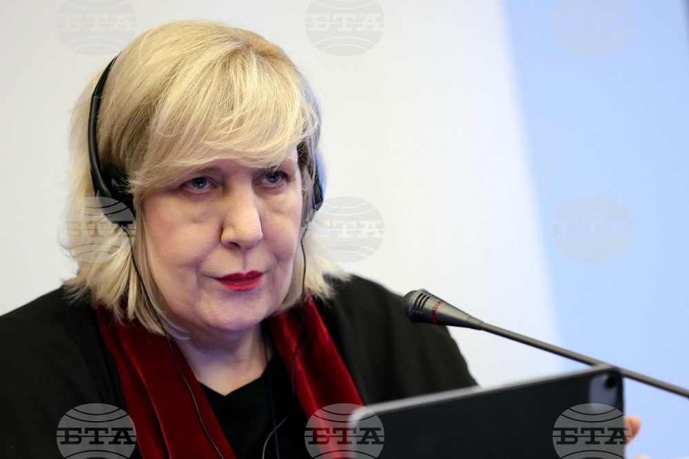 Международни наблюдатели - парламентарни избори - пресконференция