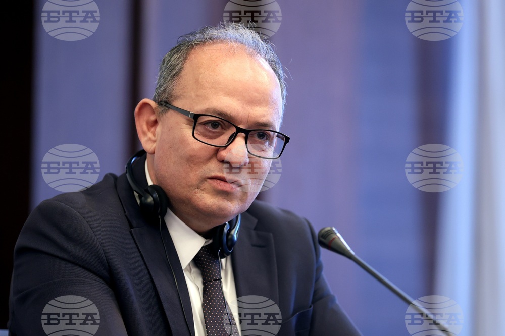 Международни наблюдатели - парламентарни избори - пресконференция