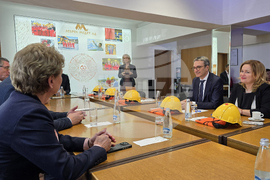 Панагюрище - „Асарел-Медет“ АД - топкова мелница