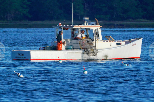 Food-Sustainable Seafood