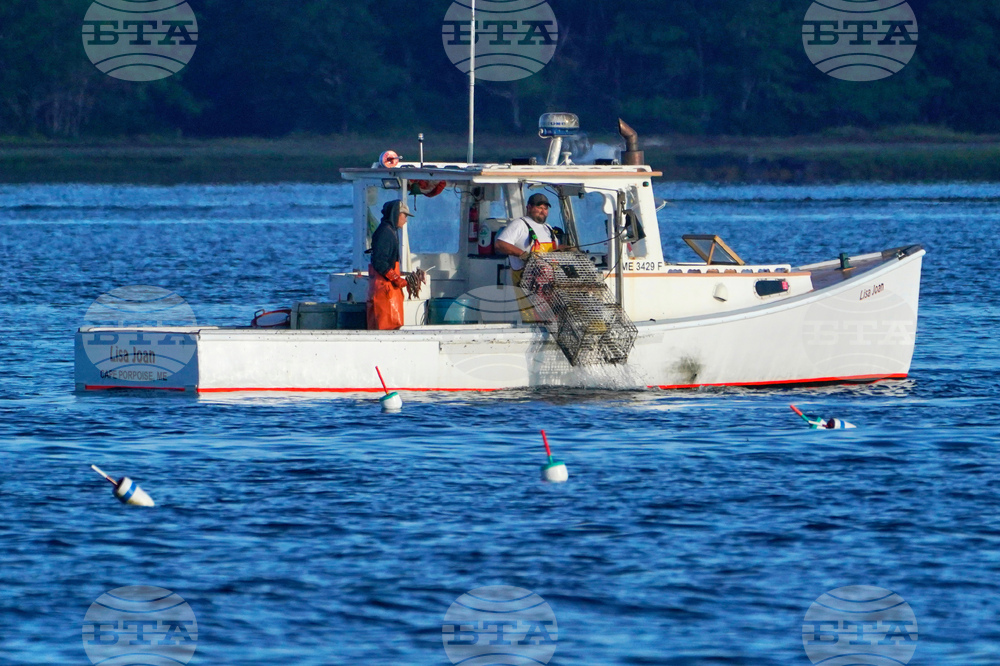 Food-Sustainable Seafood