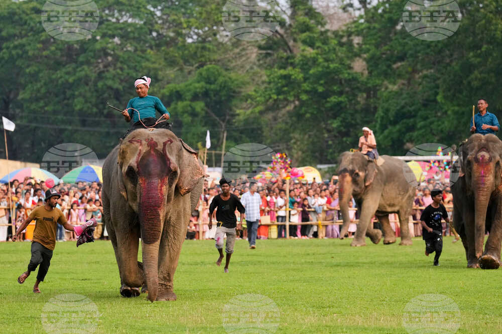 India Festival
