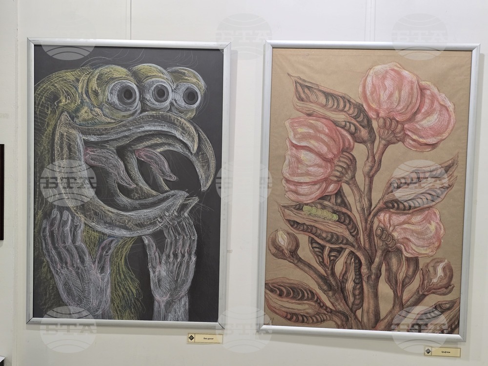 Плевен - художествена галерия „Илия Бешков“ - Биляна Димитрова - изложба