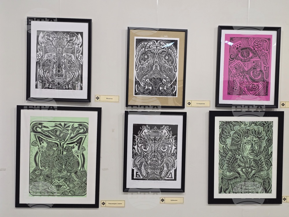 Плевен - художествена галерия „Илия Бешков“ - Биляна Димитрова - изложба