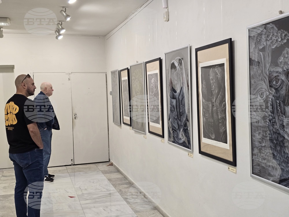 Плевен - художествена галерия „Илия Бешков“ - Биляна Димитрова - изложба