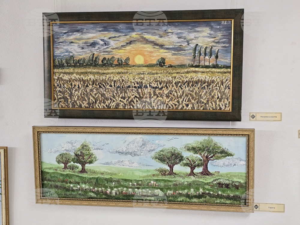 Плевен - художествена галерия „Илия Бешков“ - Биляна Димитрова - изложба