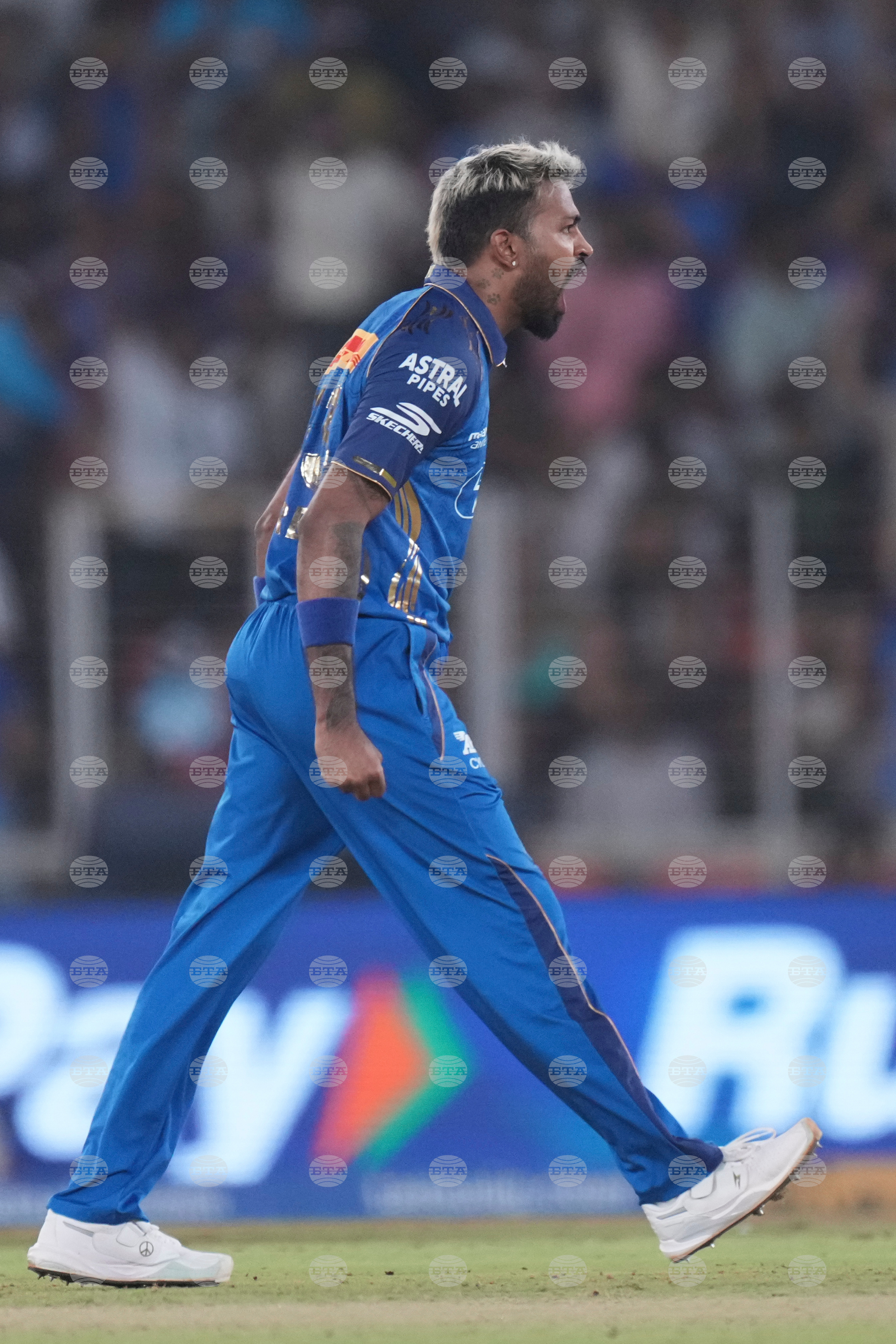 India IPL Cricket