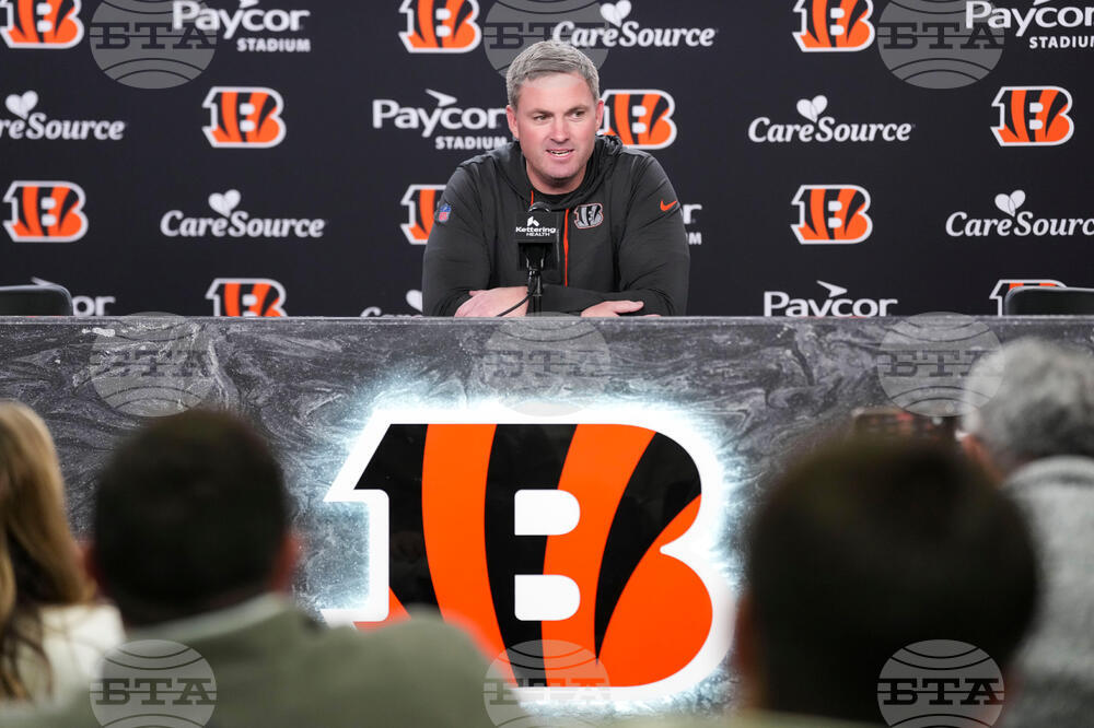 Bengals Football