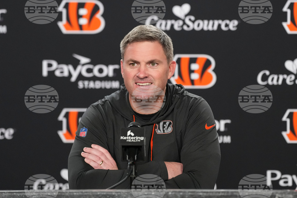 Bengals Football