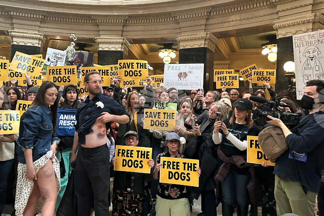 Animal Rights Protest Wisconsin