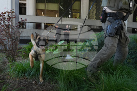 D4vd Arrest