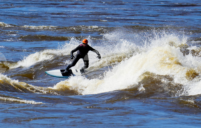 Canada Spring Surfer