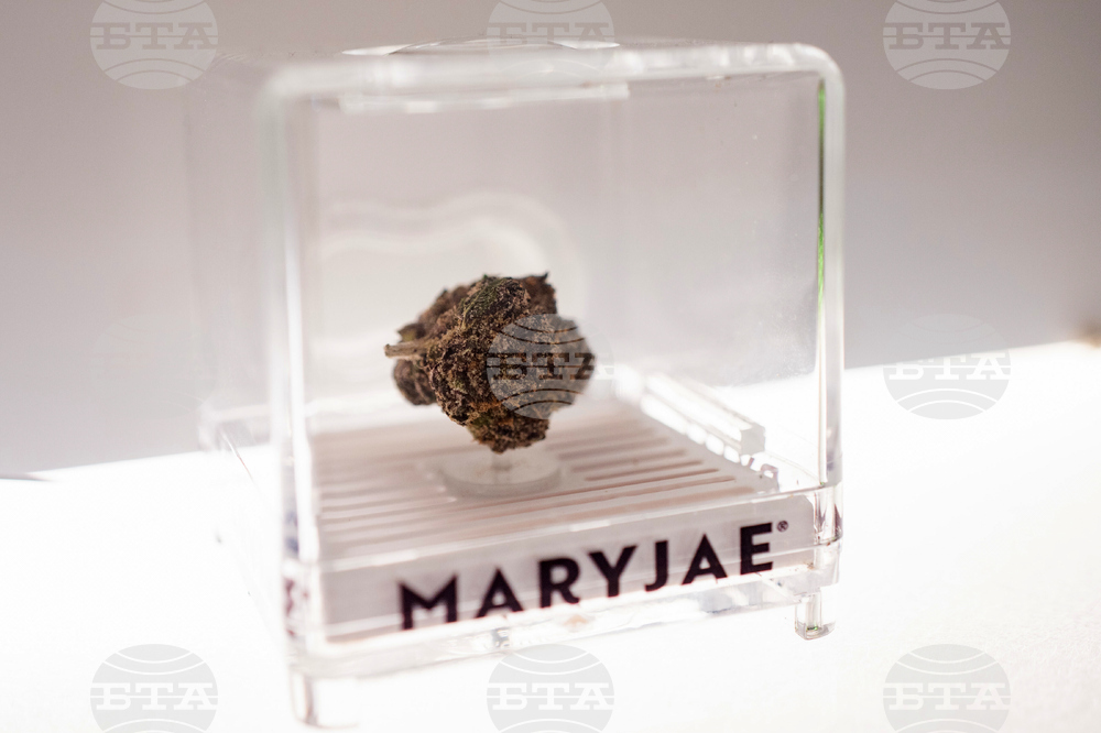Texas Cannabis