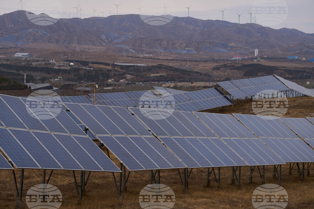 Climate Renewables Report