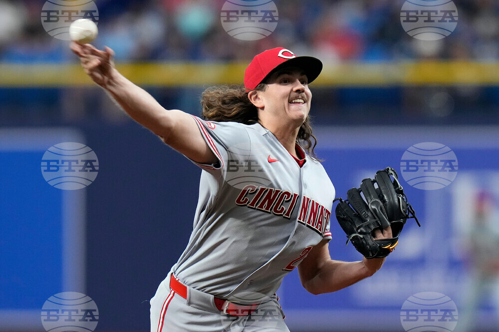 Reds Rays Baseball
