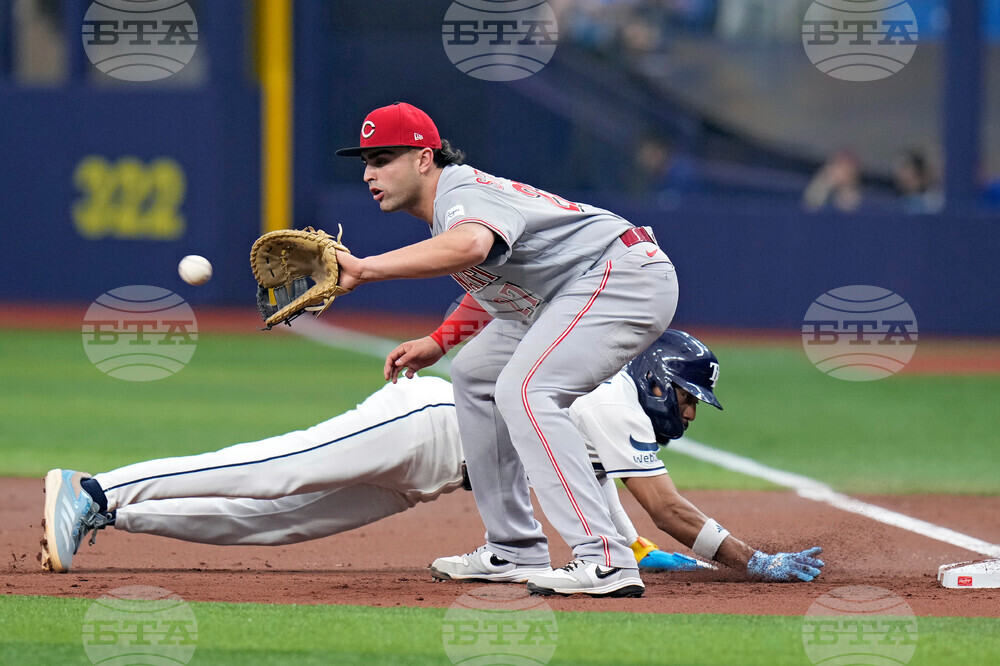 Reds Rays Baseball