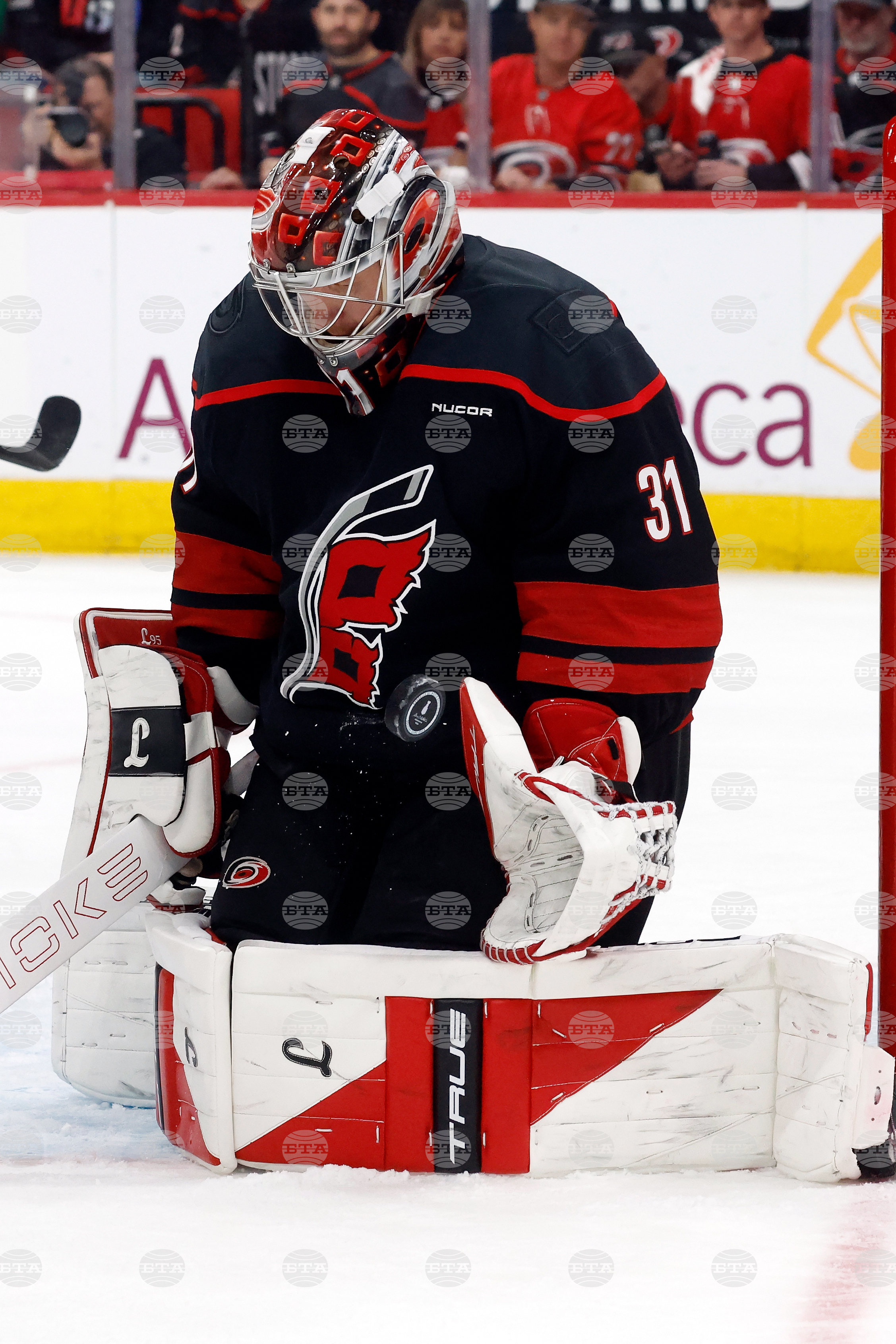 Senators Hurricanes Hockey